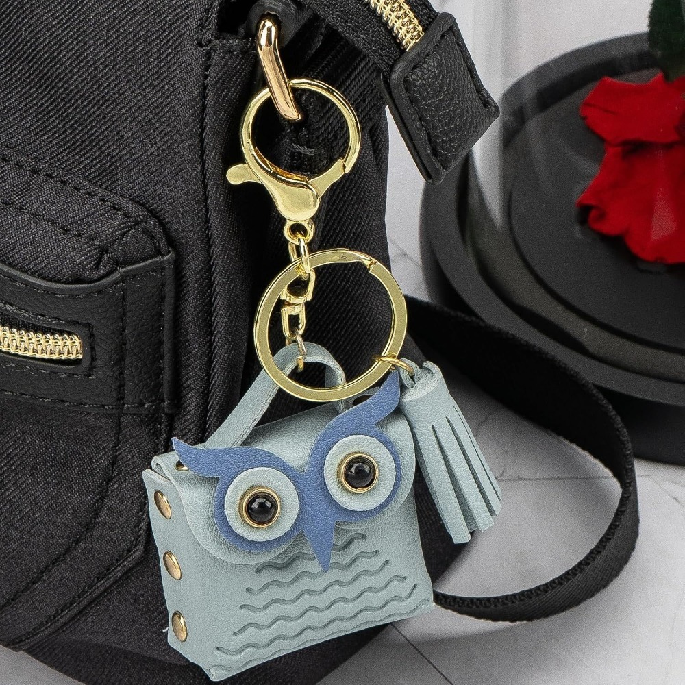 Mini portemonnee sleutelhanger - Backpack Insert Organizer recensie en prijs